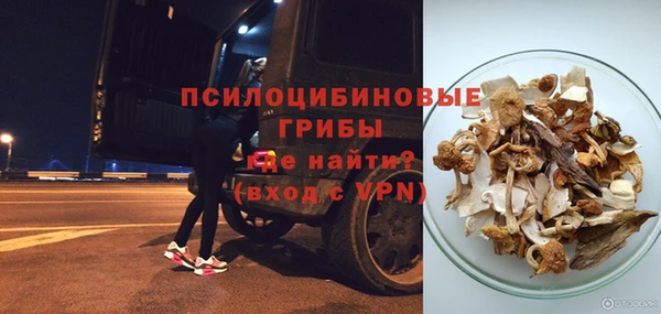 2c-b Медвежьегорск