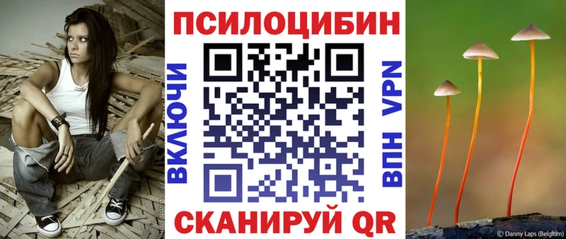KRAKEN ССЫЛКА где найти Сосенский Галлюциногенные грибы мицелий
